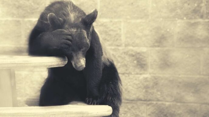 0M σε Σορτς Εκκαθαρίστηκε καθώς το Bitcoin (BTC) Ξεπέρασε τα 1K